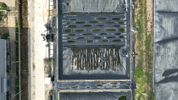 codifyformatter 2025 11 25T083909.882